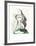 Femme Profile-Pablo Picasso-Framed Collectable Print