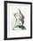 Femme Profile-Pablo Picasso-Framed Collectable Print