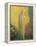 Femme voilée debout-Odilon Redon-Framed Premier Image Canvas