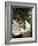 Femmes au jardin (Women in the Garden), 1866-67-Claude Monet-Framed Giclee Print