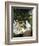 Femmes au jardin (Women in the Garden), 1866-67-Claude Monet-Framed Giclee Print