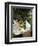 Femmes au jardin (Women in the Garden), 1866-67-Claude Monet-Framed Giclee Print