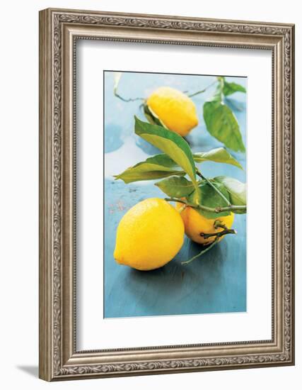 Femminello Lemon of Gargano Igp-null-Framed Photographic Print