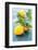 Femminello Lemon of Gargano Igp-null-Framed Photographic Print