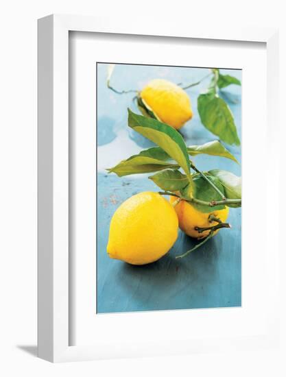 Femminello Lemon of Gargano Igp-null-Framed Photographic Print