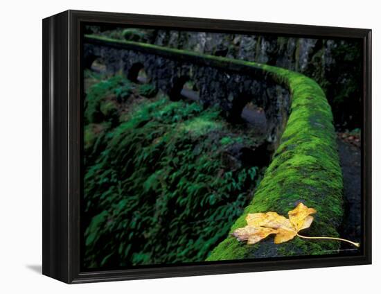 Fence Along Path to Shepherd's Dell Falls, Columbia River Gorge National Scenic Area, Oregon, USA-Brent Bergherm-Framed Premier Image Canvas