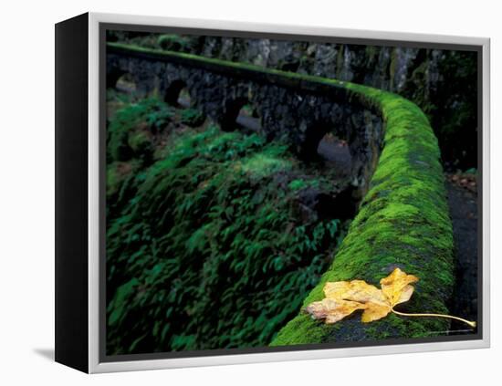 Fence Along Path to Shepherd's Dell Falls, Columbia River Gorge National Scenic Area, Oregon, USA-Brent Bergherm-Framed Premier Image Canvas