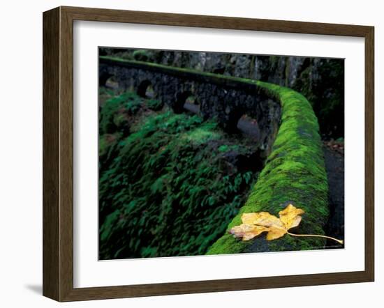 Fence Along Path to Shepherd's Dell Falls, Columbia River Gorge National Scenic Area, Oregon, USA-Brent Bergherm-Framed Photographic Print