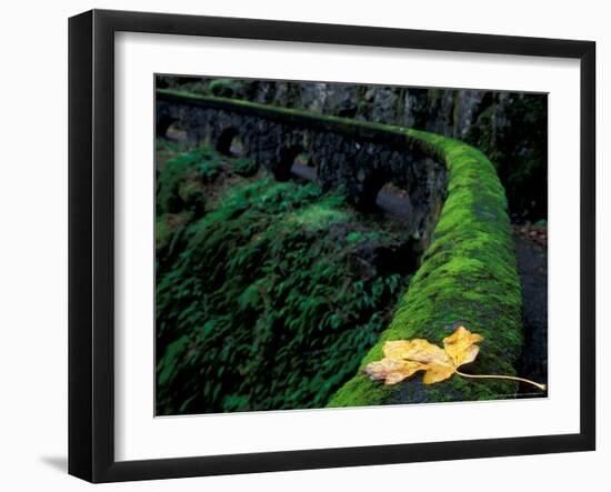 Fence Along Path to Shepherd's Dell Falls, Columbia River Gorge National Scenic Area, Oregon, USA-Brent Bergherm-Framed Photographic Print