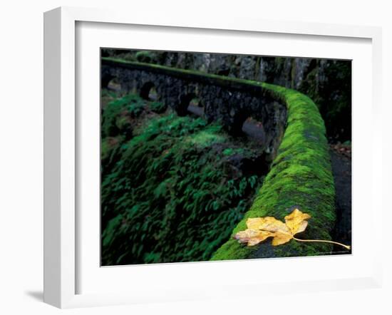 Fence Along Path to Shepherd's Dell Falls, Columbia River Gorge National Scenic Area, Oregon, USA-Brent Bergherm-Framed Photographic Print