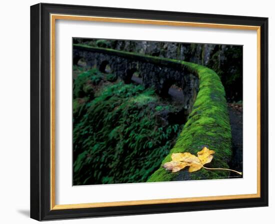 Fence Along Path to Shepherd's Dell Falls, Columbia River Gorge National Scenic Area, Oregon, USA-Brent Bergherm-Framed Photographic Print