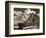 Fence and Barn-Aaron Horowitz-Framed Photographic Print