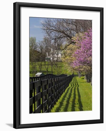 Fence and Dogwood and Redbud Trees in Early Spring, Lexington, Kentucky, Usa-Adam Jones-Framed Photographic Print