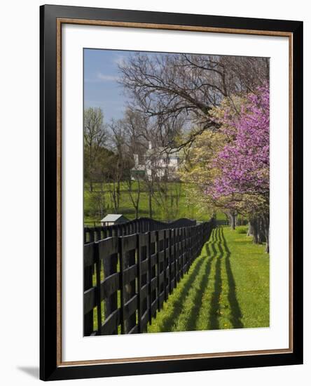 Fence and Dogwood and Redbud Trees in Early Spring, Lexington, Kentucky, Usa-Adam Jones-Framed Photographic Print