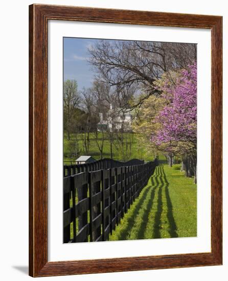 Fence and Dogwood and Redbud Trees in Early Spring, Lexington, Kentucky, Usa-Adam Jones-Framed Photographic Print