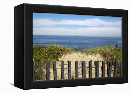Fence and Sand Dunes on Coast-Paul Souders-Framed Premier Image Canvas