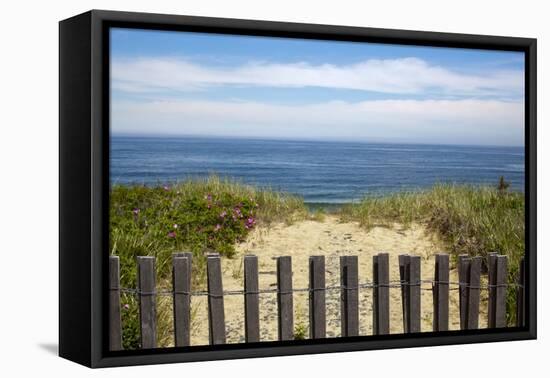 Fence and Sand Dunes on Coast-Paul Souders-Framed Premier Image Canvas