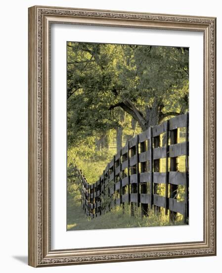 Fence at Sunrise, Bluegrass Region, Lexington, Kentucky, USA-Adam Jones-Framed Photographic Print