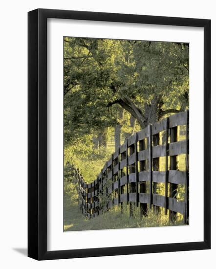 Fence at Sunrise, Bluegrass Region, Lexington, Kentucky, USA-Adam Jones-Framed Photographic Print