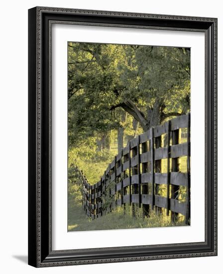 Fence at Sunrise, Bluegrass Region, Lexington, Kentucky, USA-Adam Jones-Framed Photographic Print