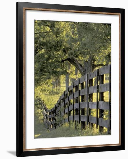 Fence at Sunrise, Bluegrass Region, Lexington, Kentucky, USA-Adam Jones-Framed Photographic Print