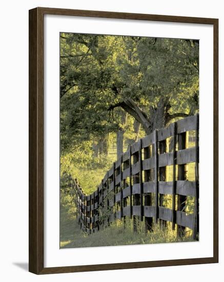 Fence at Sunrise, Bluegrass Region, Lexington, Kentucky, USA-Adam Jones-Framed Photographic Print