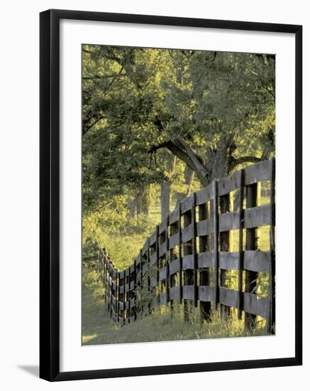 Fence at Sunrise, Bluegrass Region, Lexington, Kentucky, USA-Adam Jones-Framed Photographic Print