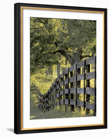 Fence at Sunrise, Bluegrass Region, Lexington, Kentucky, USA-Adam Jones-Framed Photographic Print