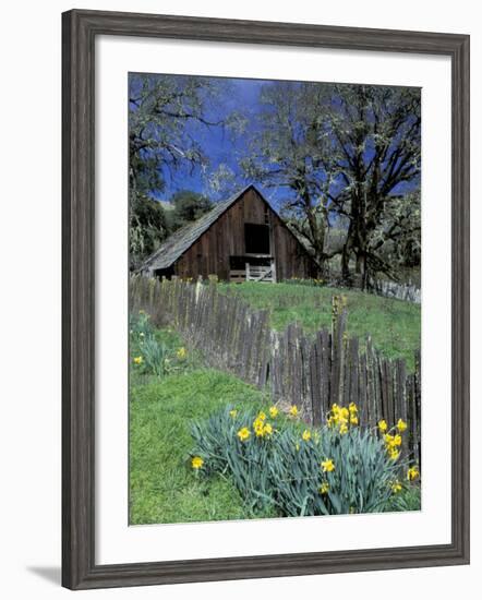 Fence, Barn and Daffodils, Northern California, USA-Darrell Gulin-Framed Photographic Print