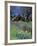 Fence, Barn and Daffodils, Northern California, USA-Darrell Gulin-Framed Photographic Print