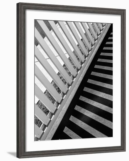 Fence Graphic-Steven Maxx-Framed Photographic Print