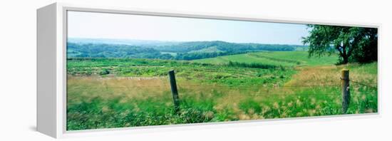 Fence in a field, Loess Hills, Mills County, Iowa, USA-null-Framed Premier Image Canvas