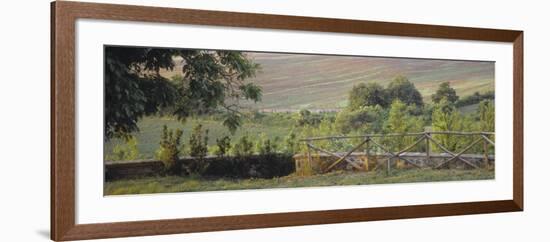 Fence in a Vineyard, Barbaresco Docg, Piedmont, Italy-null-Framed Photographic Print