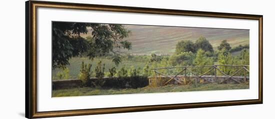 Fence in a Vineyard, Barbaresco Docg, Piedmont, Italy-null-Framed Photographic Print