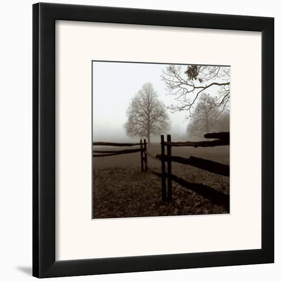 Fence in the Mist-Harold Silverman-Framed Art Print