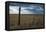 Fence in the Savanah Near the Minuteman Nuclear Missile Site, South Dakota, Usa-Michael Runkel-Framed Premier Image Canvas