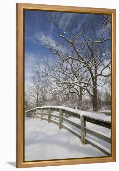 Fence in the Snow #2, Farmington Hills, Michigan ‘09-Monte Nagler-Framed Premier Image Canvas