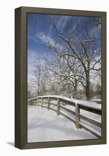 Fence in the Snow #2, Farmington Hills, Michigan ‘09-Monte Nagler-Framed Premier Image Canvas