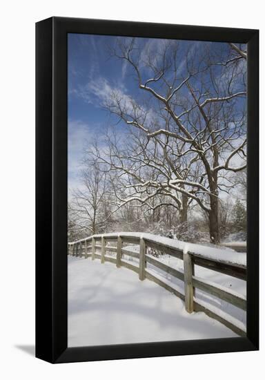 Fence in the Snow #2, Farmington Hills, Michigan ‘09-Monte Nagler-Framed Premier Image Canvas