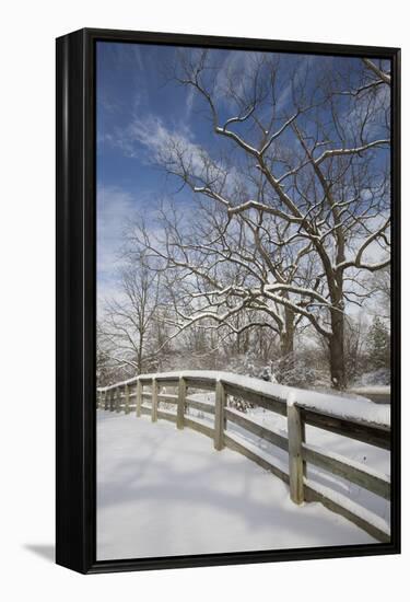 Fence in the Snow #2, Farmington Hills, Michigan ‘09-Monte Nagler-Framed Premier Image Canvas