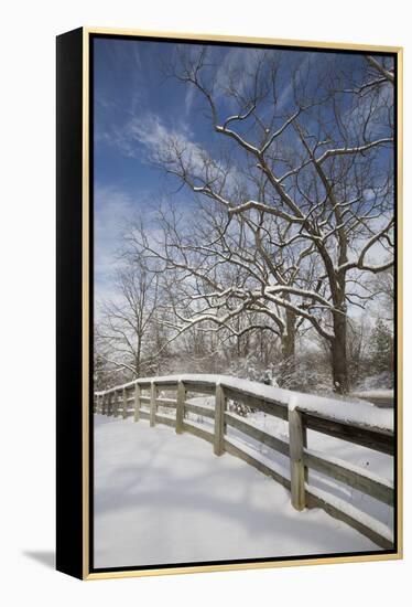 Fence in the Snow #2, Farmington Hills, Michigan ‘09-Monte Nagler-Framed Premier Image Canvas