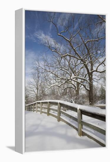 Fence in the Snow #2, Farmington Hills, Michigan ‘09-Monte Nagler-Framed Premier Image Canvas