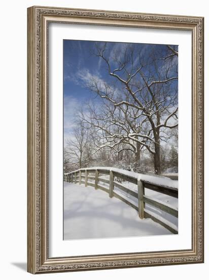 Fence in the Snow #2, Farmington Hills, Michigan ‘09-Monte Nagler-Framed Photographic Print