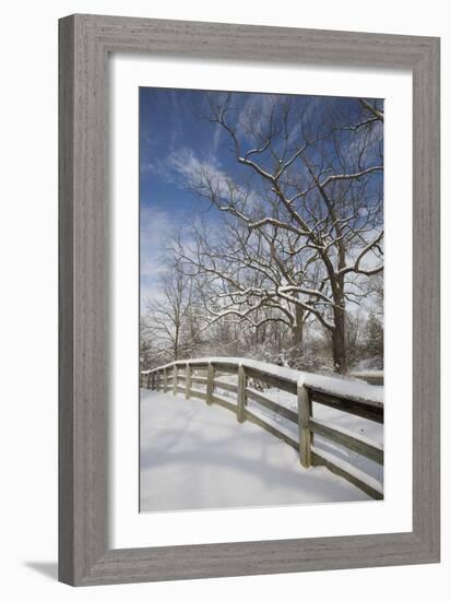 Fence in the Snow #2, Farmington Hills, Michigan ‘09-Monte Nagler-Framed Photographic Print