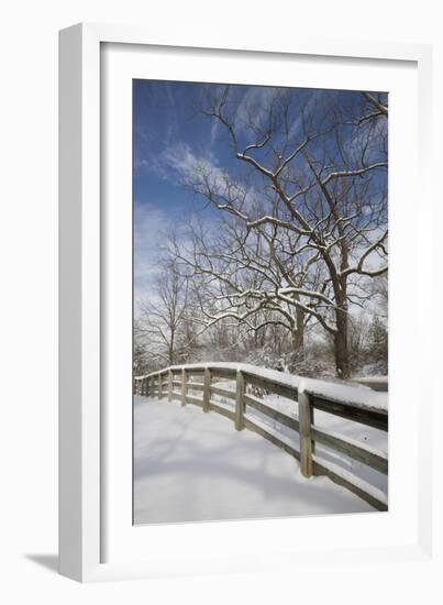 Fence in the Snow #2, Farmington Hills, Michigan ‘09-Monte Nagler-Framed Photographic Print