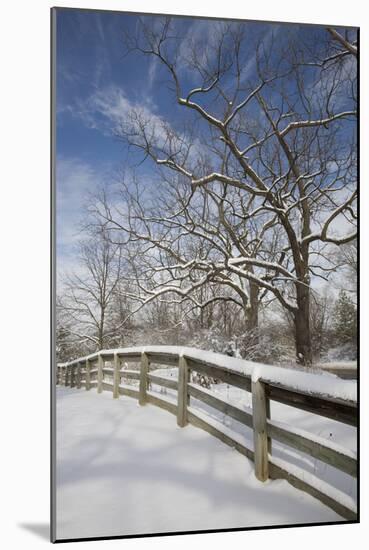 Fence in the Snow #2, Farmington Hills, Michigan ‘09-Monte Nagler-Mounted Photographic Print