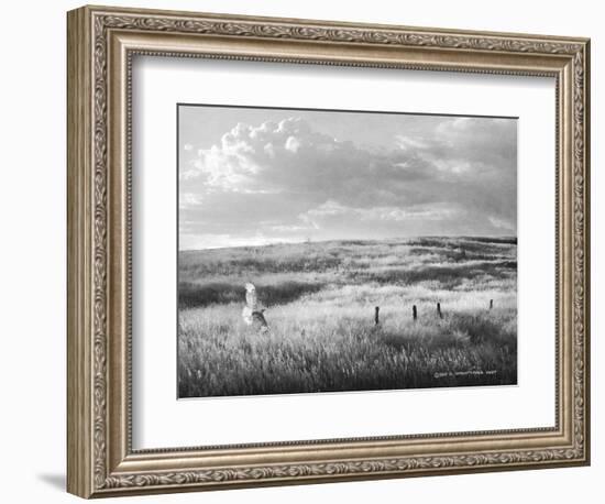 Fence Line Flight I-Chris Vest-Framed Photographic Print