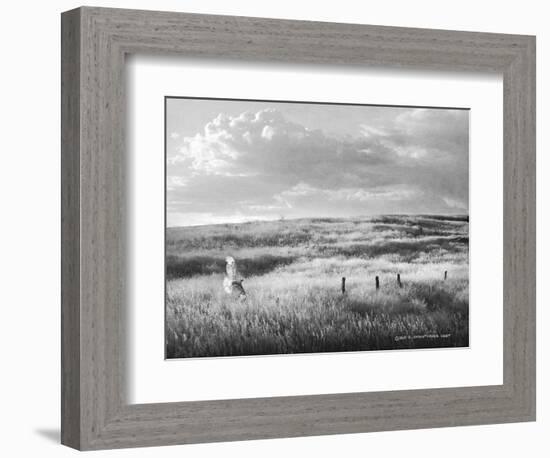 Fence Line Flight I-Chris Vest-Framed Photographic Print