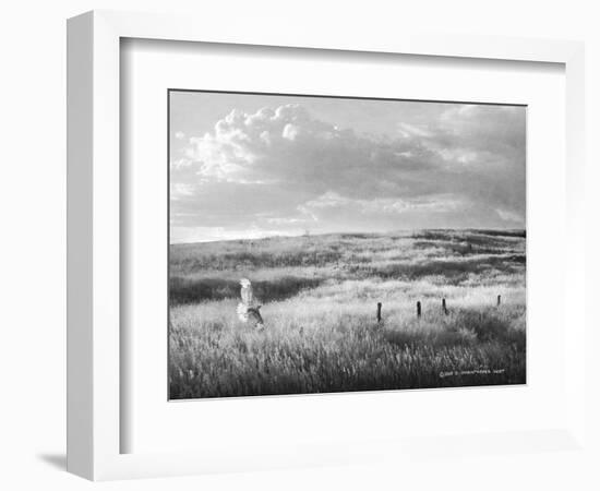 Fence Line Flight I-Chris Vest-Framed Photographic Print