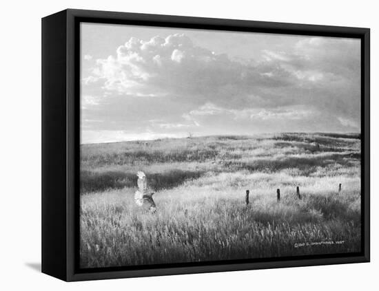 Fence Line Flight I-Chris Vest-Framed Premier Image Canvas